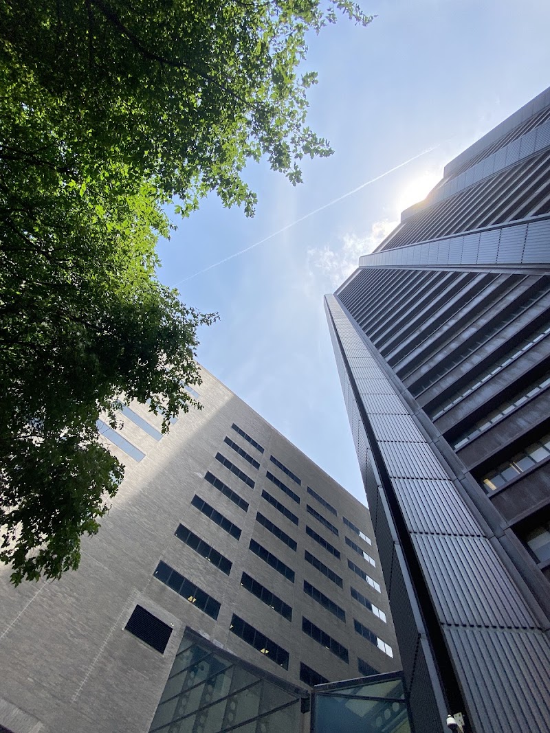 Mount Sinai Hospital – New York City