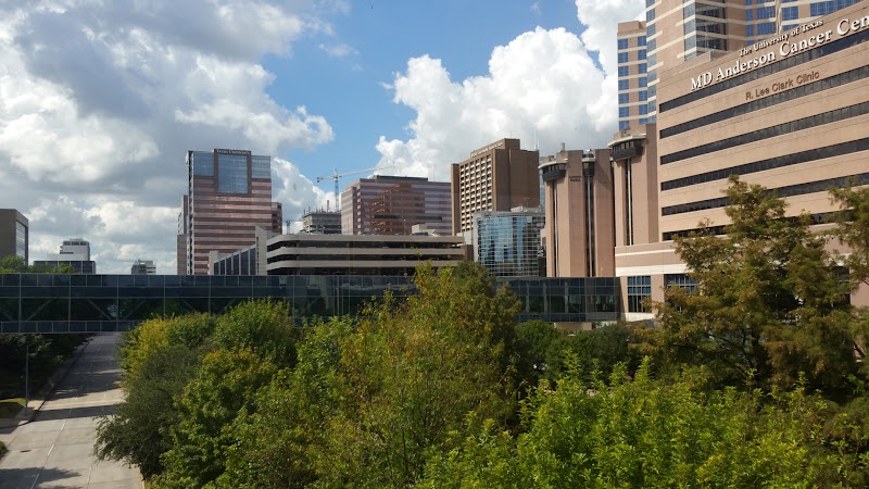 MD Anderson Cancer Center – Houston