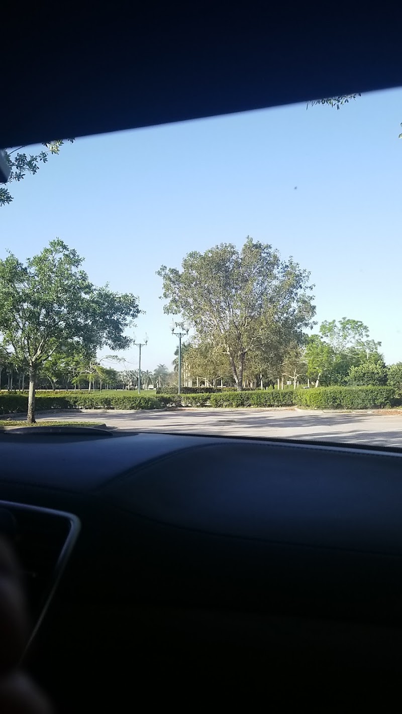 Joe DiMaggio Children's Hospital Department of Orthopaedic Surgery – Miramar